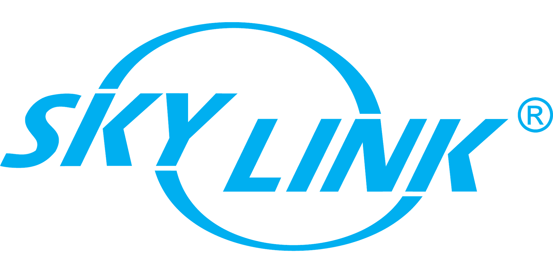 Skylink-Logo